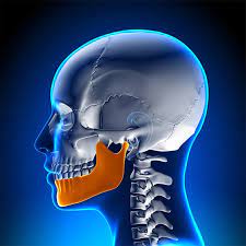 How Dowager's Hump Harms Your Mandible