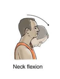 How to Perform Neck Stretches for Fixing Forward Neck