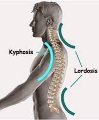 How Poor Neck Curvature Impacts Shoulder Stability