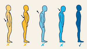 Mechanics of Neck Posture and Its Impact on the Upper Back