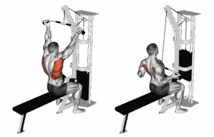 How Lat Pulldowns Improve Neck Alignment