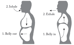 The Link Between Posture and Breathing Mechanics