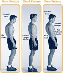 Key Components of a Posture Self-Check