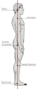 Biomechanics of Postural Alignment