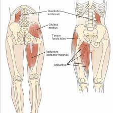 How Forward Neck Syndrome Shifts Your Body’s Balance