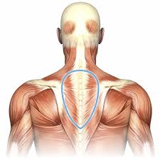Joint Compression and Limited Thoracic Movement