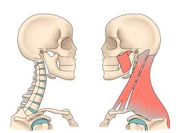 Soft Tissue Techniques For Muscle Relaxation