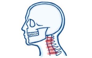 is osteopathy a Holistic Path to Neck Relief