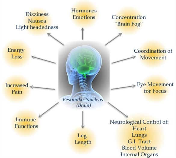 How Chiropractors Assess Cervical Misalignment