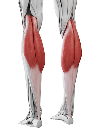 The Role of Forward Head Posture in Calf Muscle Imbalance