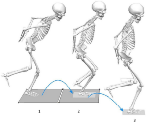 can forward head posture affect leg muscle strength and exercise performance